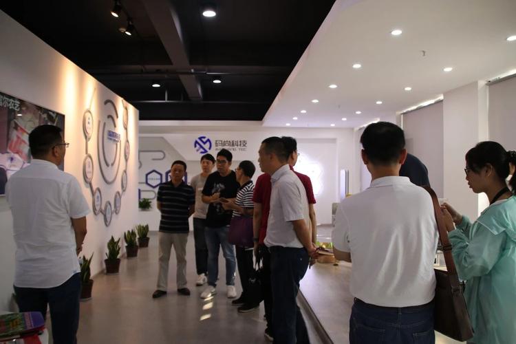 浙江码尚科技股份